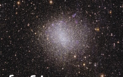 -forStargazer-